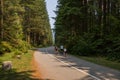 Active life - cycling. Cyclists on the road in a coniferous forest. Mountain road between deep forest. bike ride with friends Royalty Free Stock Photo