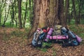 Active lifestyle. Hiking, camping equipment, backpacks lying in