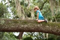 Active little blond child enjoying climbing on tree. Cute little boy kid sitting on the branch. Royalty Free Stock Photo