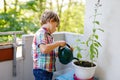 Active little preschool kid boy watering plants with water can at home on balcony