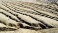 Active mud volcano in Romania with close up of geological structure Royalty Free Stock Photo