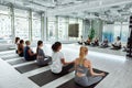 Active diverse women practice yoga meditate on group training