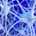 Active nerve cells illustration Royalty Free Stock Photo