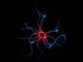 Active Neurone