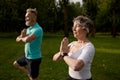 Active older couple doing yoga exercise outdoors at city park Royalty Free Stock Photo