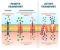 Active passive transport vector illustration. Labeled educational cell scheme Royalty Free Stock Photo