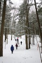 Group of people on a guided nature walk in winter