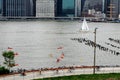 Active Recreation on the East River, New York City