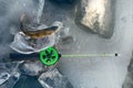 Active rest fishing for perch in winter from ice