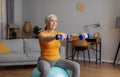 Active retirement. Happy senior woman in sportswear exercising with dumbbells on fitball, having domestic training Royalty Free Stock Photo