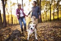 Senior couple with dog on a walk in an autumn forest. Royalty Free Stock Photo