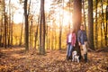 Senior couple with dog on a walk in an autumn forest. Royalty Free Stock Photo