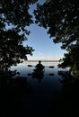 Active senior kayaker silhouetted against blue sky under mangrove canopy.