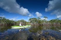 Active senior kayaking on Nine Mike Pond in Everglades National Park, Florida. Royalty Free Stock Photo