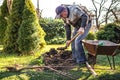 Man digging hole for planting fruit tree in garden Royalty Free Stock Photo