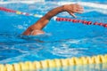 Active senior swimming