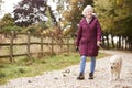 Active Senior Woman On Autumn Walk With Dog On Path Through Countryside Royalty Free Stock Photo