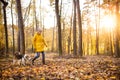 Senior woman with dog on a walk in an autumn forest. Royalty Free Stock Photo