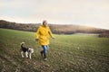 Senior woman with dog on a walk in an autumn nature. Royalty Free Stock Photo