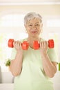 Active senior woman doing exercises Royalty Free Stock Photo