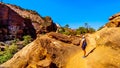 Active Senior Woman on a hike in Zion Canyon at the top of the Canyon Overlook Trail in Zion National Park, Utah Royalty Free Stock Photo