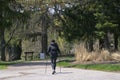Active senior woman walking in the park with the hiking poles