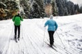 Active seniors. Cross-country skiing. Winter sport activities Royalty Free Stock Photo