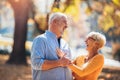 Active seniors on a walk in autumn forest Royalty Free Stock Photo