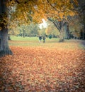 Active seniors on a walk in autumn forest Royalty Free Stock Photo