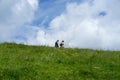 Active seniors walking in nature Royalty Free Stock Photo