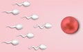 Active sperm cells swim to the egg on a pink background. The concept of pregnancy, fertilization of the egg. Vector illustration