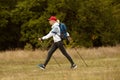 Active sportive elderly woman practicing in Nordic walking with sticks in public park, outdoors. Autumn sports, healthy