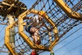 Active sporty kid in helmet doing activity in adventure park with all climbing equipment. Active children climb on the trees