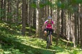 Active sporty woman riding mountain bike on forest trail . Royalty Free Stock Photo