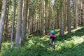 Active sporty woman riding mountain bike on forest trail . Royalty Free Stock Photo