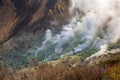 Active sulphur vents of Owakudani at Fuji volcano, Japan