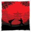 Active tae kwon do martial arts fighters combat fighting and kicking sport silhouettes illustration