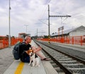 Active tourist with backpack using phone and waiting for train. Man and beagle dog waiting on railway station. Older Royalty Free Stock Photo