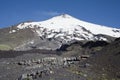 Active Villarrica volcano Royalty Free Stock Photo