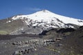 Active Villarrica volcano