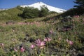 Active Villarrica volcano