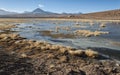 Active volcano Putana also known as Jorqencal or Machuca near Vado Rio Putana in Atacama Desert, Chile