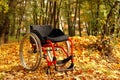 Active wheelchair in the park Royalty Free Stock Photo