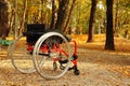 Active wheelchair in the park Royalty Free Stock Photo