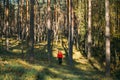 Active Young Adult Beautiful Caucasian Girl Woman Dressed In Red Jacket Walking In Autumn Green Forest Landscape. Active Royalty Free Stock Photo