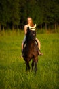 Active young woman ride a horse in nature Royalty Free Stock Photo