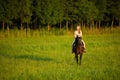 Active young woman ride a horse in nature Royalty Free Stock Photo