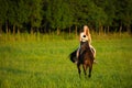 Active young woman ride a horse in nature Royalty Free Stock Photo