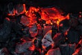 Burning charcoal as a background Royalty Free Stock Photo