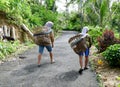 activities of people looking for grass in the forest to feed livestock